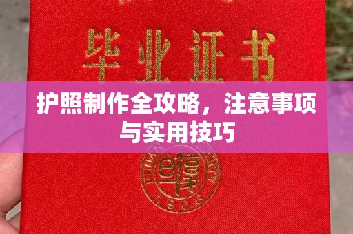 南县护照制作全攻略，注意事项与实用技巧