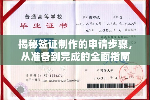 南县揭秘签证制作的申请步骤，从准备到完成的全面指南