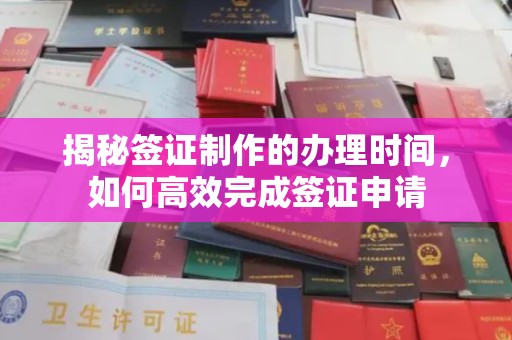 南县揭秘签证制作的办理时间，如何高效完成签证申请